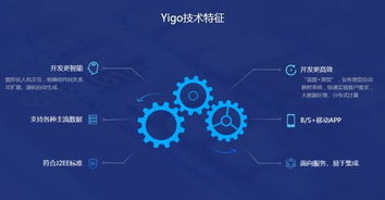 博科資訊啟動上市輔導(dǎo),高瓴為投資方 旗下yigo erp可實(shí)現(xiàn)進(jìn)口替代