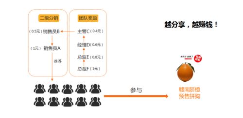 預(yù)售拼購模式軟件系統(tǒng),農(nóng)產(chǎn)品贛南臍橙案例推演剖析