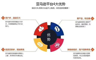 亞馬遜無貨源模式如何操作,真的月入幾萬 亞馬遜erp系統(tǒng)定制