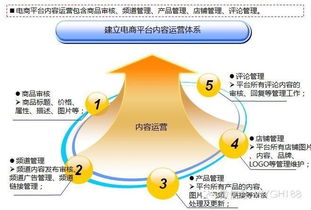互聯網電商b2c b2b平臺運營能力模型及策略體系